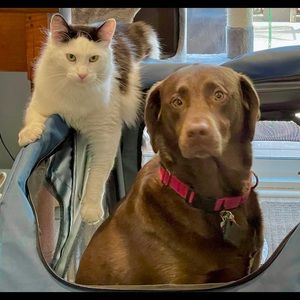 Meet your Posher, Charlene